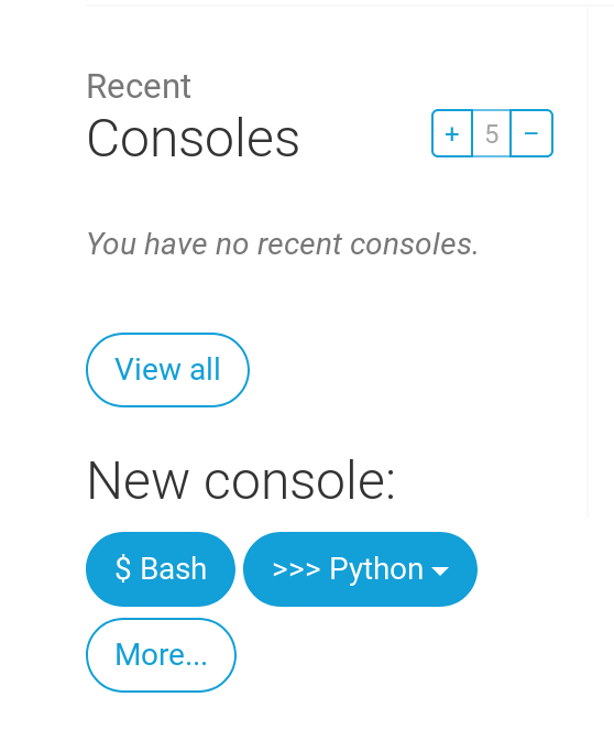 A seção 'New Console' na interface web do PythonAnywhere, com o botão para abrir o 'bash'